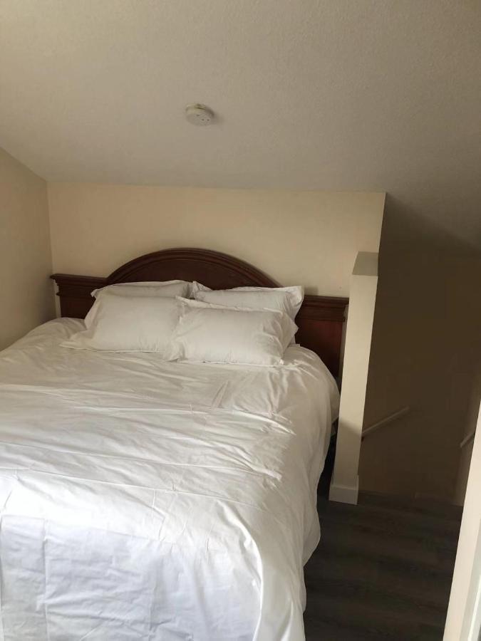 坎莫尔Unit #302 Mountain View 2 Beds In Dt公寓 外观 照片